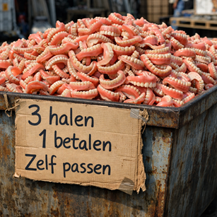 Removable partial denture — draagbaar drama.